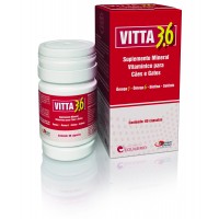 VITTA 3.6 COM 60 COMP.
